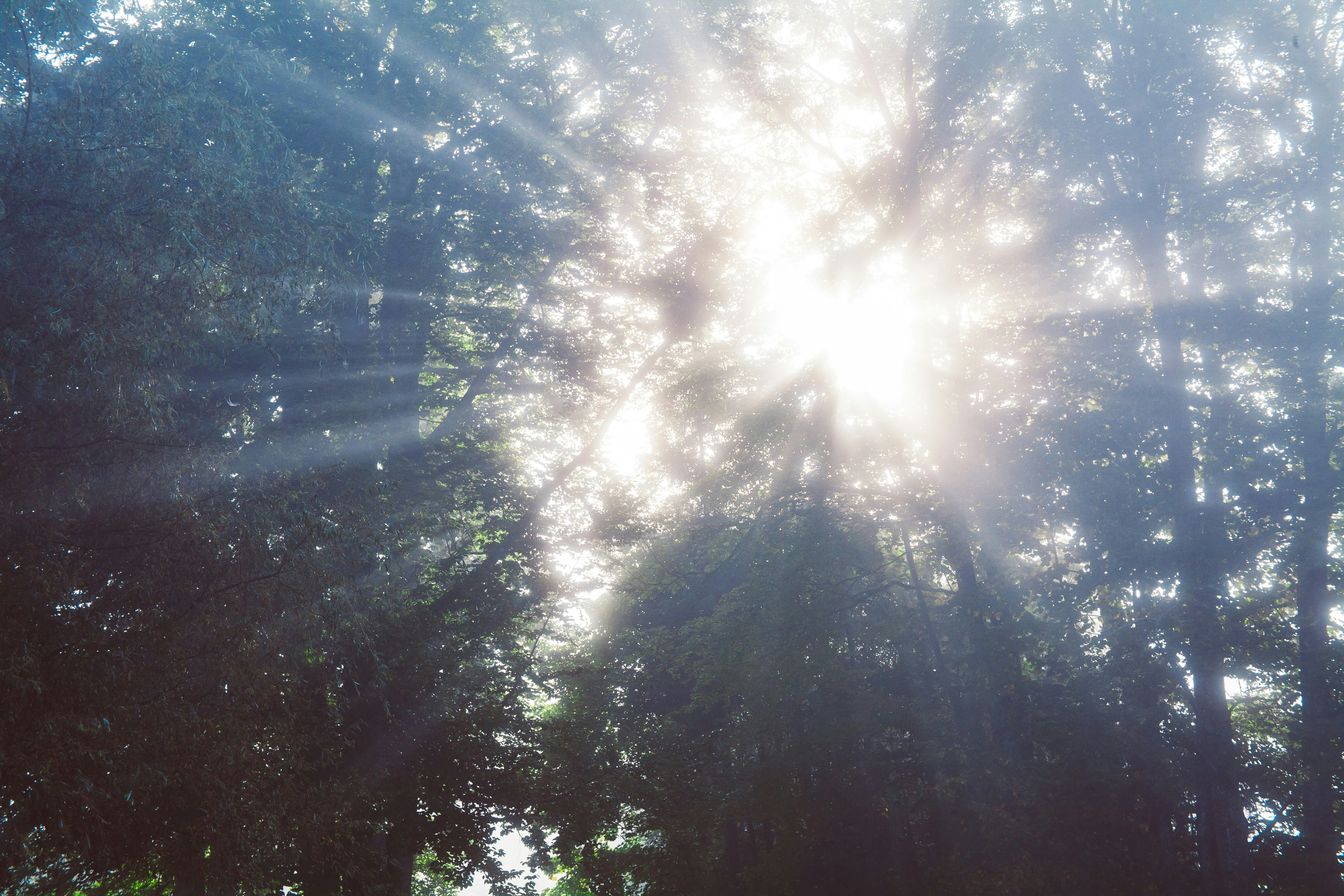 Notre vraie nature