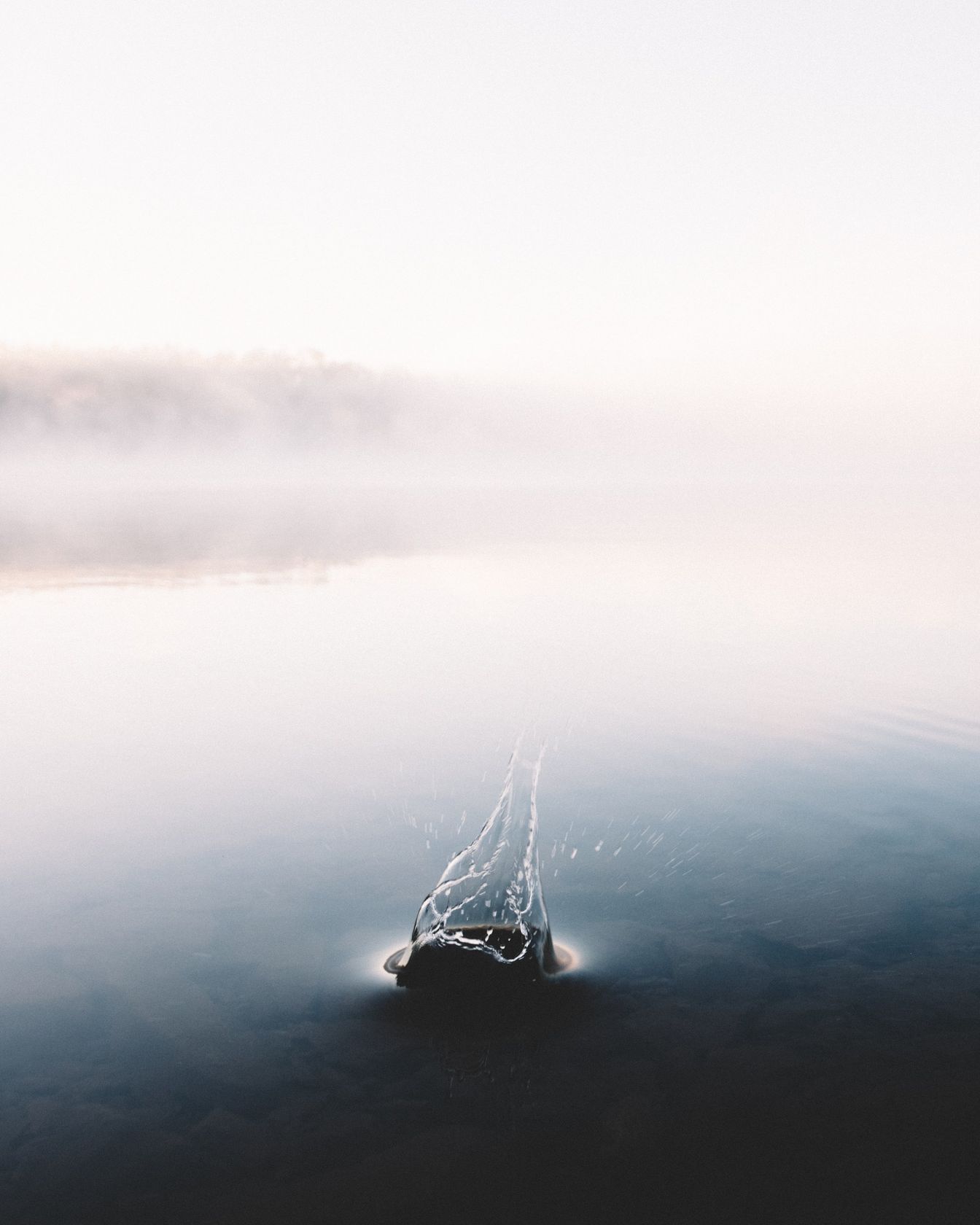 Sous la surface
