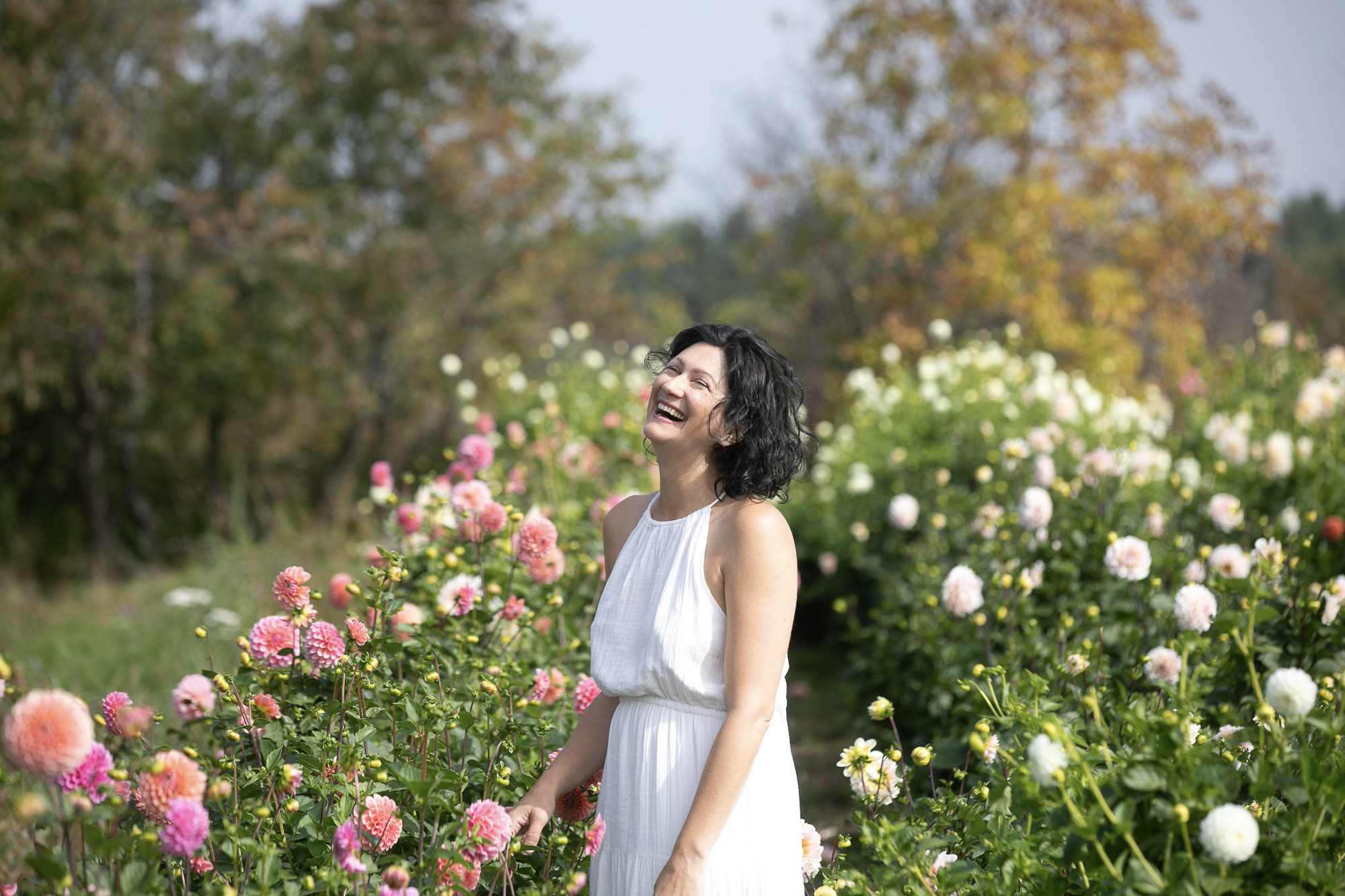 Christine Dion rit de bonheur, vêtue d'une robe blanche, au milieu d'un champ de dahlias roses et blancs.